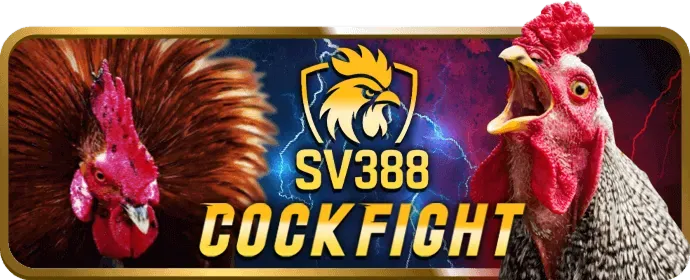 Hỗ trợ khách hàng CV88